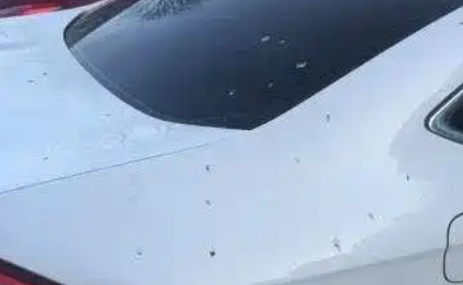 car paint protection car paint protection