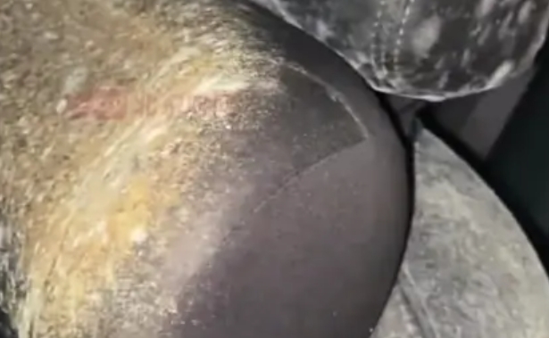 Mold in Cars: Health Risks And Prevention Tips