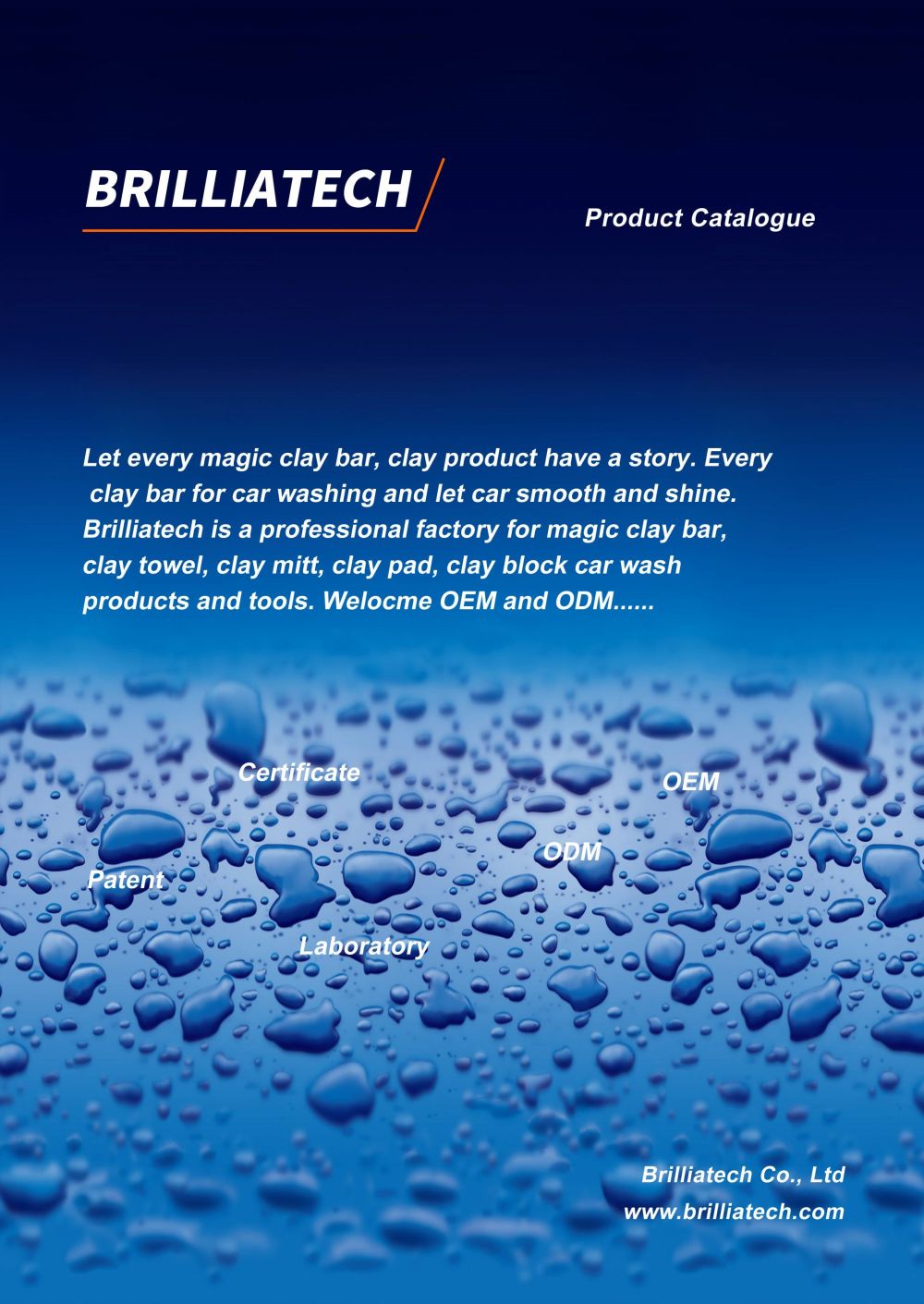 brilliatech catalogue (1)