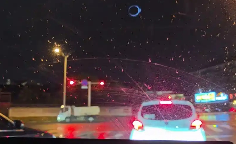 Why You Must Wash Your Car Immediately After Night Highway Driving