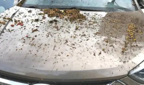 car washing frequency.jpg