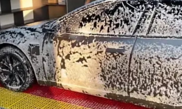paint protection (3)